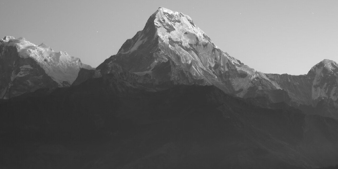 Americana-Indie Rock Artist Horseshoes Launches New Track