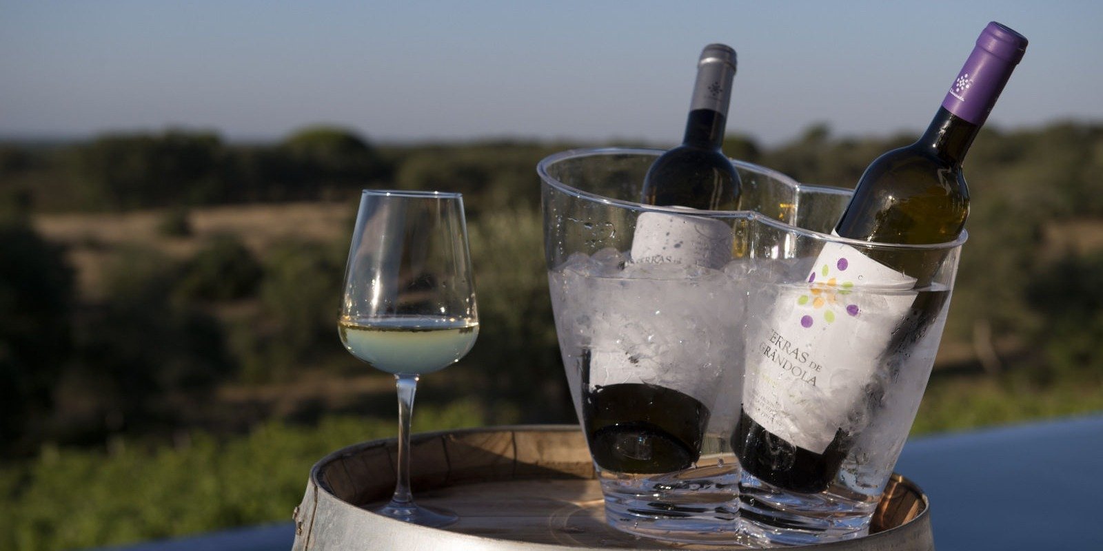 Celebre a época das vindimas nos hotéis vínicos da Small Portuguese Hotels