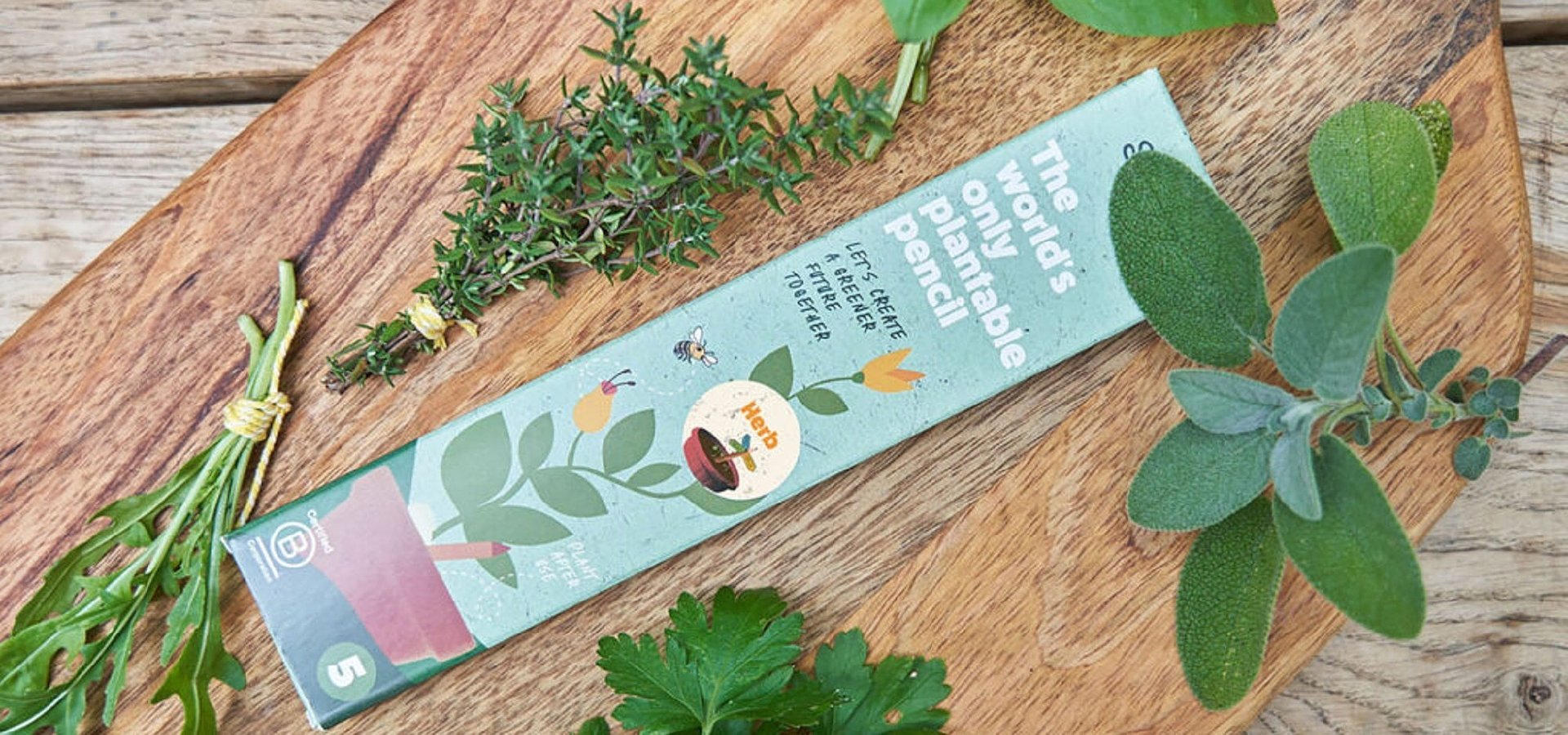 WRITE, PLANT AND EAT – New SproutWorld Kitchen and Herb Plantable Pencils Grow Into Melons, Eggplant Cucumber and More After Use