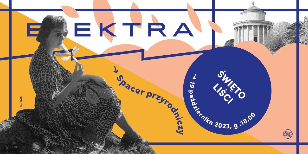 SPACERY Z ELEKTRĄ: Święto liści, 19 października