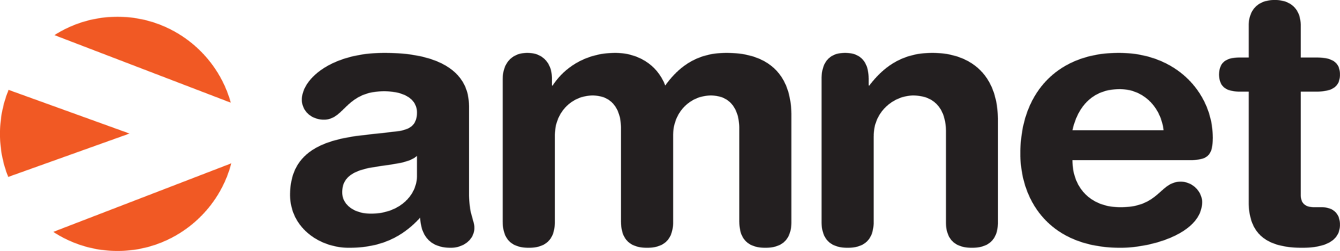 Amnet Polska regionalnym HUB-em CEE