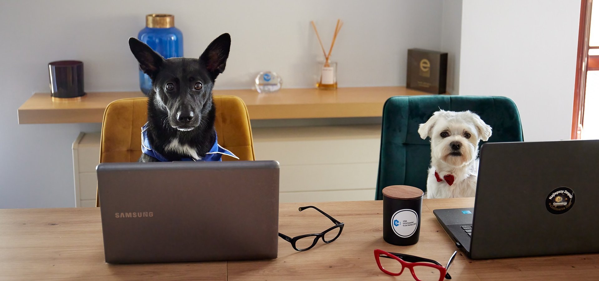 W moim magicznym, wielogatunkowym domu