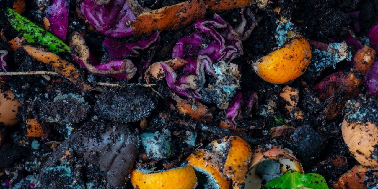 Just Zero Issue Brief Outlines How to Tackle Food Waste