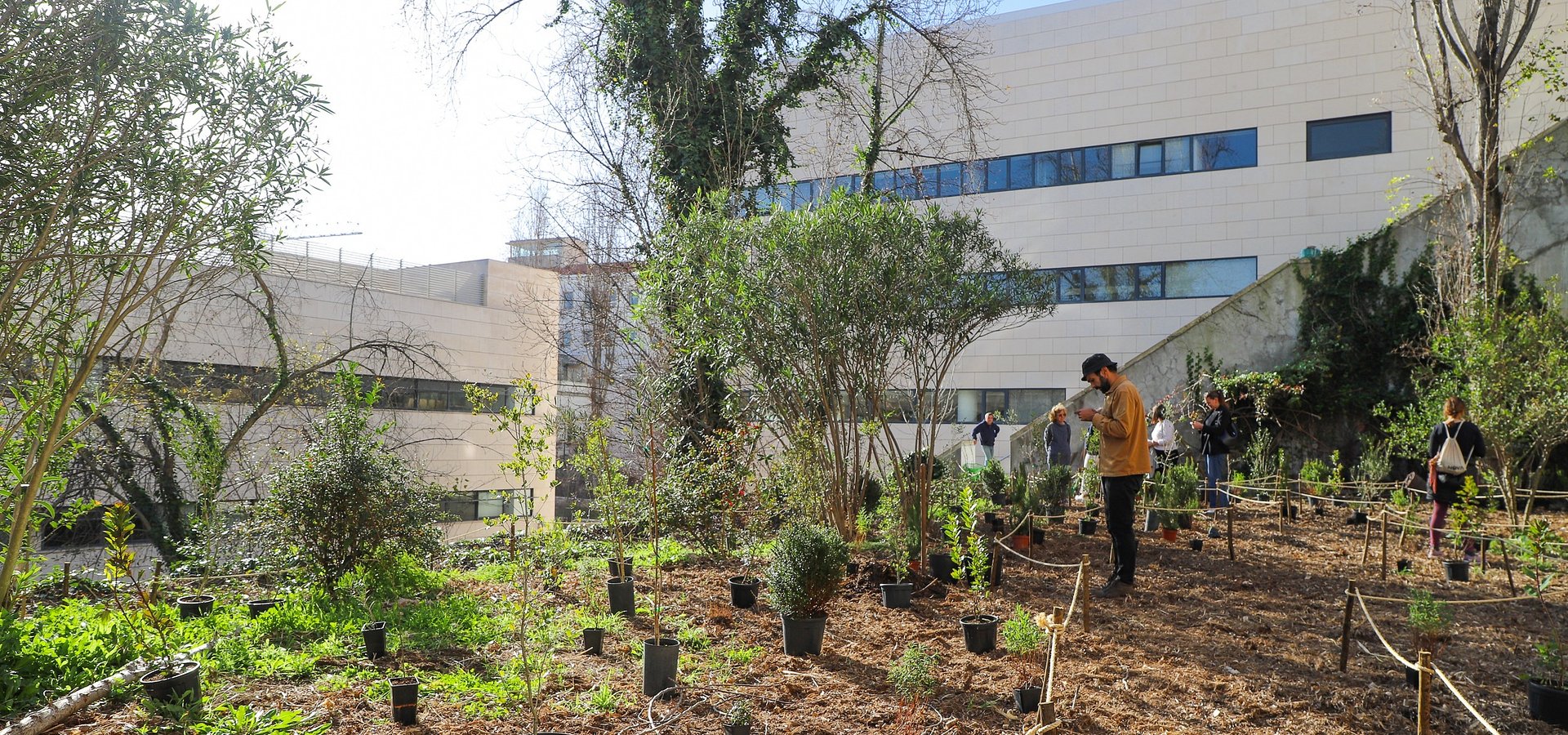 360 Árvores Plantadas na Minifloresta Urbana do ISEG