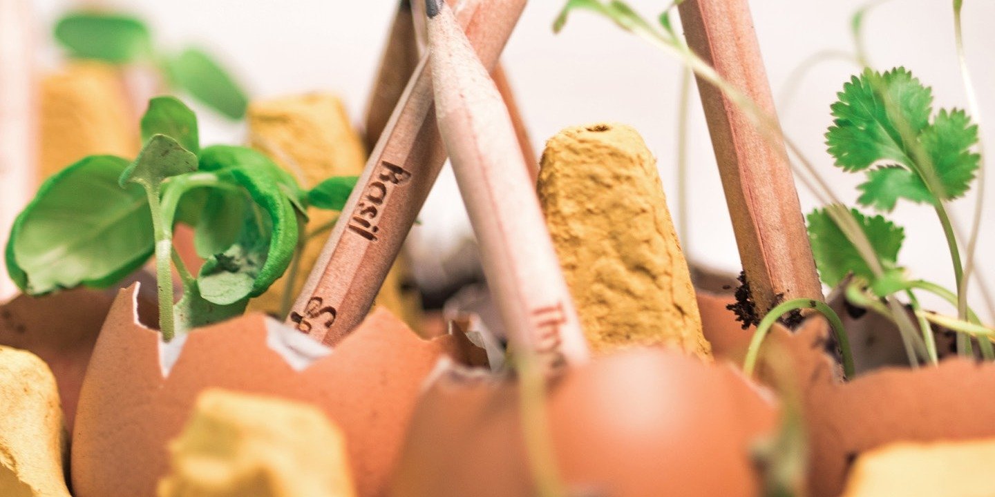 Celebrate Spring's Arrival with New SproutWorld Plantable Pencils that Grow into Plants, Fruit and More for Easter Baskets, Gifts and Crafts ​