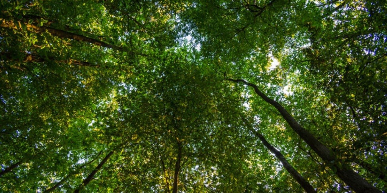 Fortinet lança Relatório de Sustentabilidade 2023