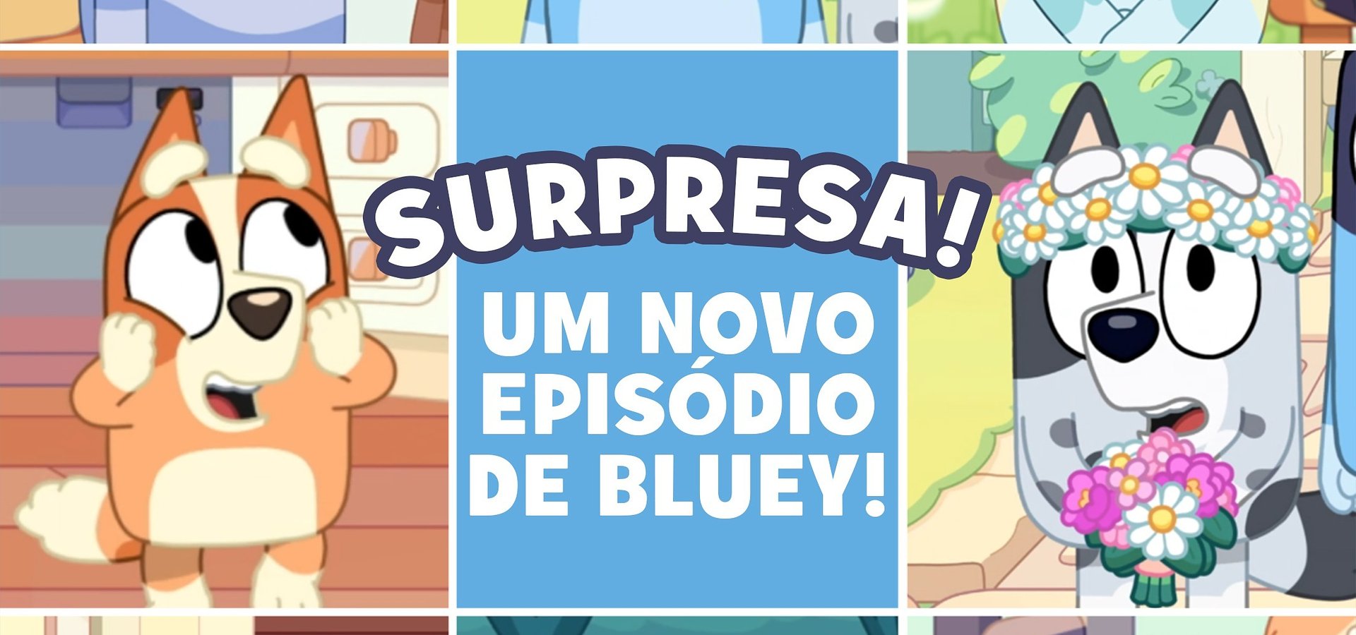 SURPRESA! UM NOVO EPISÓDIO DE BLUEY JÁ ESTÁ DISPONÍVEL NO DISNEY+