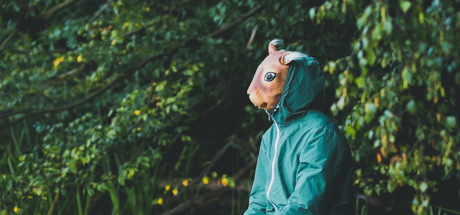 Enea Edison Festival 2024 zamyka line-up! Nie brakuje zaskoczeń i sprawdzonych nazwisk. Festiwal już w lipcu!