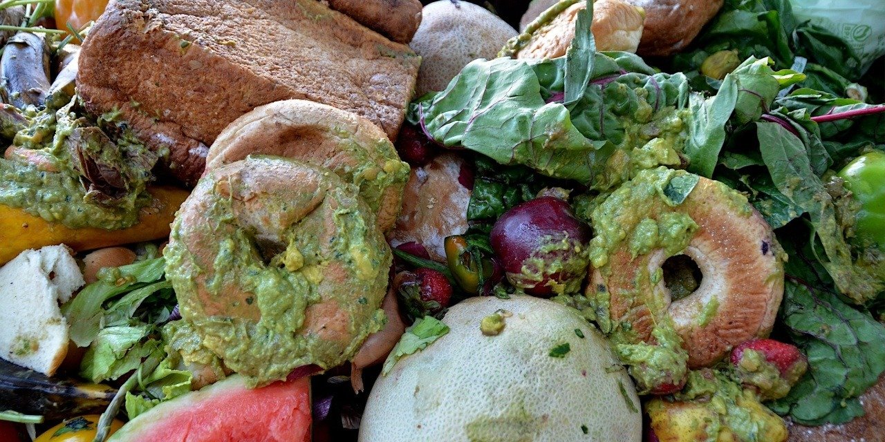 Maine Legislature Fumbles Opportunity to Address Food Waste