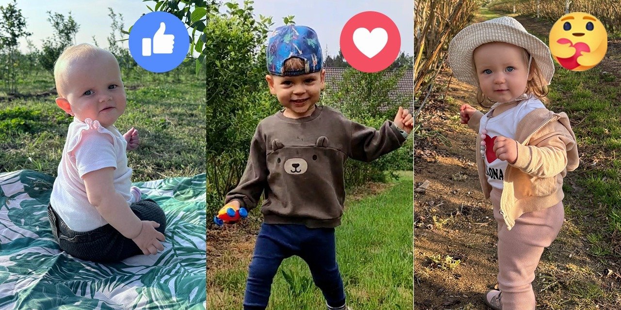 Miłośnicy borówki wybierają dziecko plantatorów, które otworzy sezon 2024