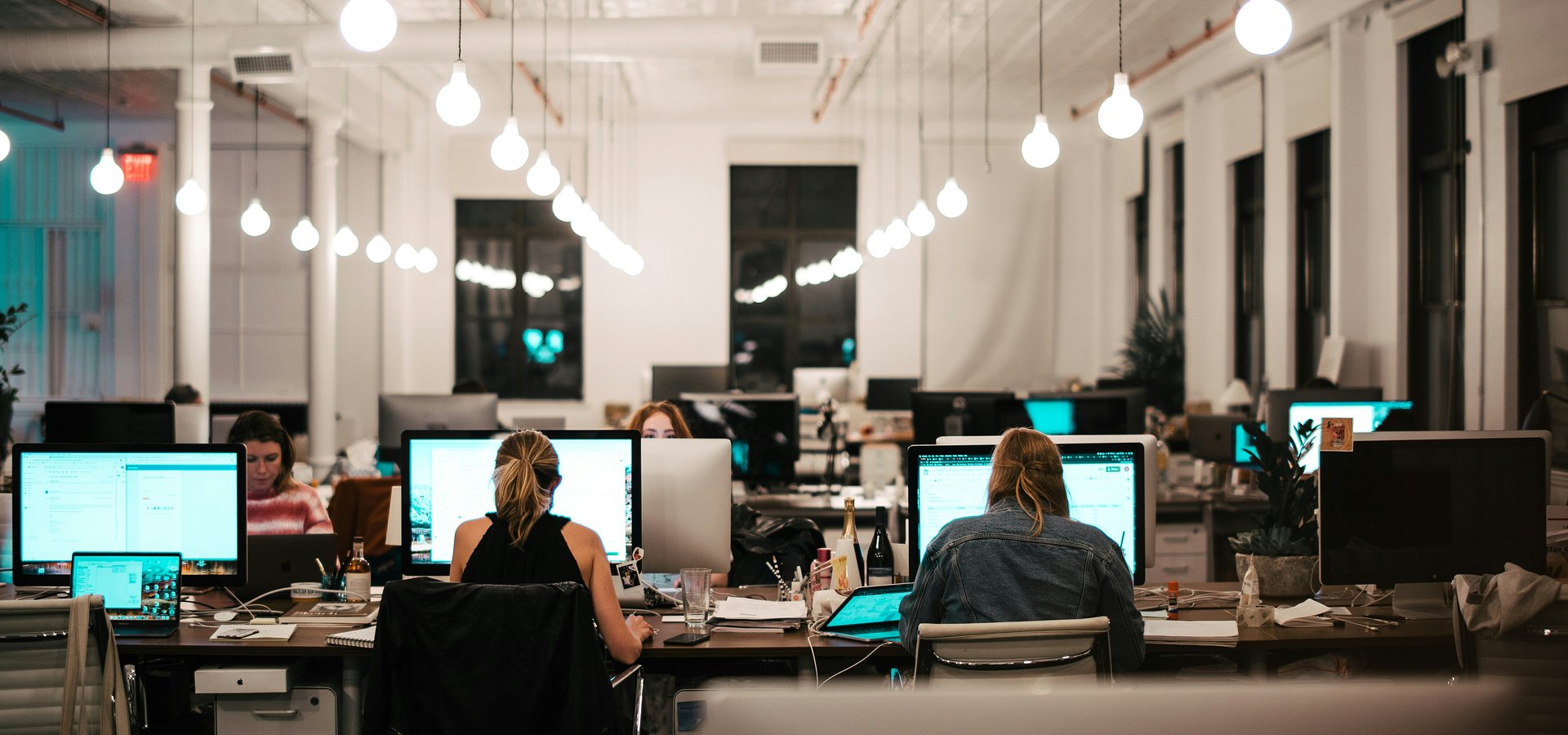 Rynek Pracy Specjalistów w pierwszej połowie 2024 roku