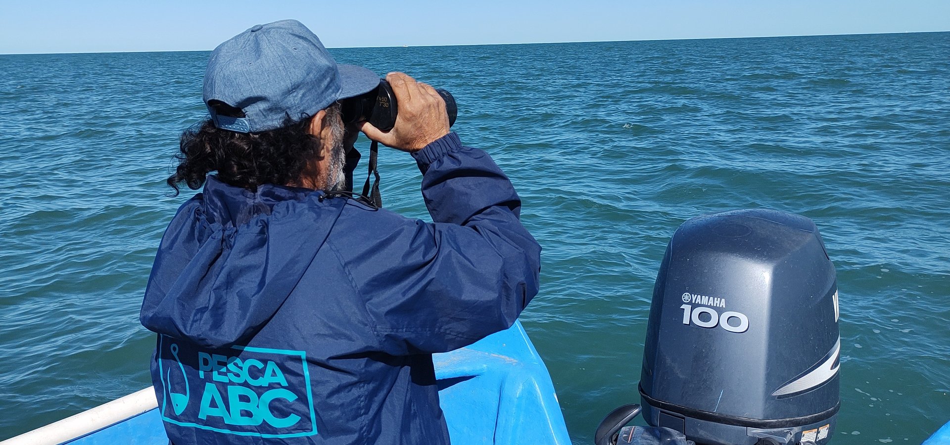 Zoomarine, Yaqu Pacha e Jardim Zoológico de Nuremberg unidos na proteção do golfinho vaquita e na promoção da pesca sustentável