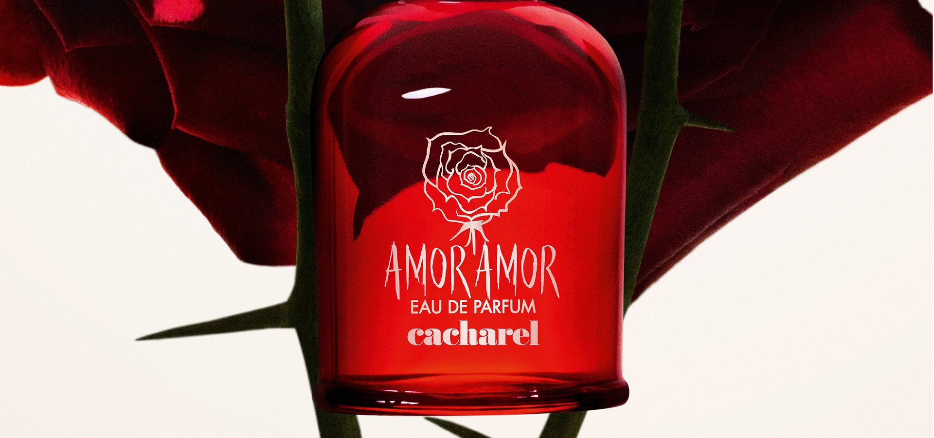 CACHAREL LANÇA NOVO AMOR AMOR EAU DE PARFUM