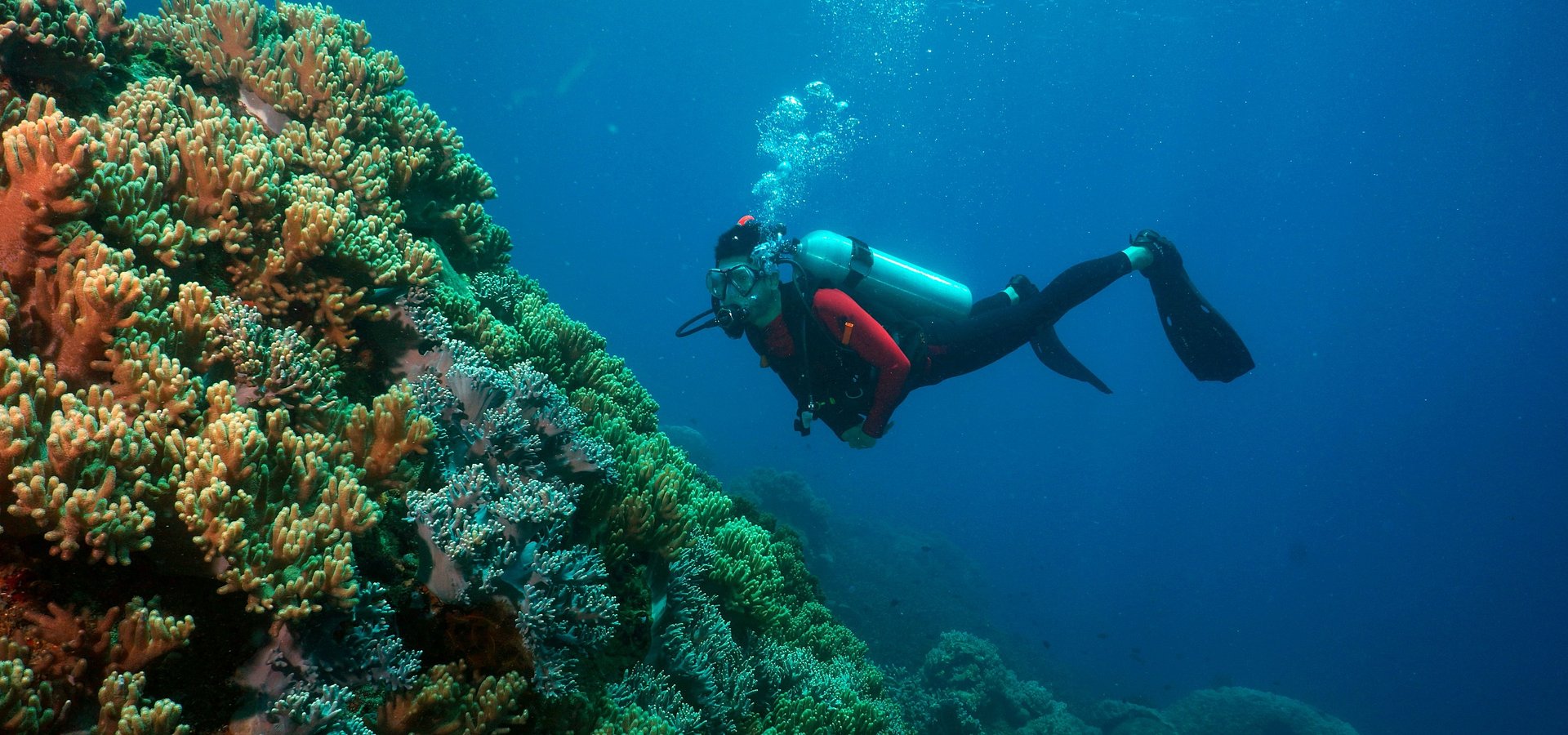 Dive into the Wonders of Tenggol Island, Terengganu, Malaysia
