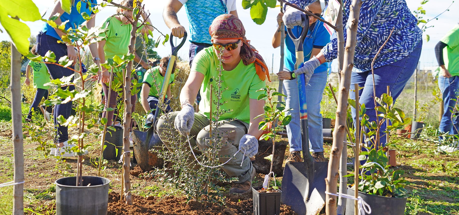 Zoomarine e Nativawaky plantam floresta Miyawaki em prol da regeneração do Algarve
