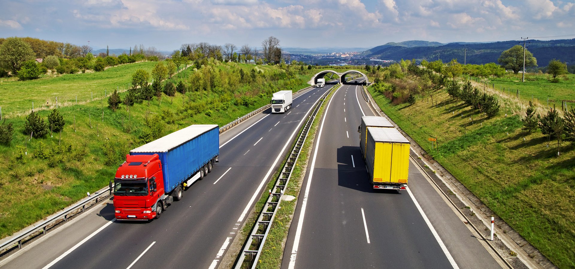 Rubia Tir – klasyka ciężarowego gatunku