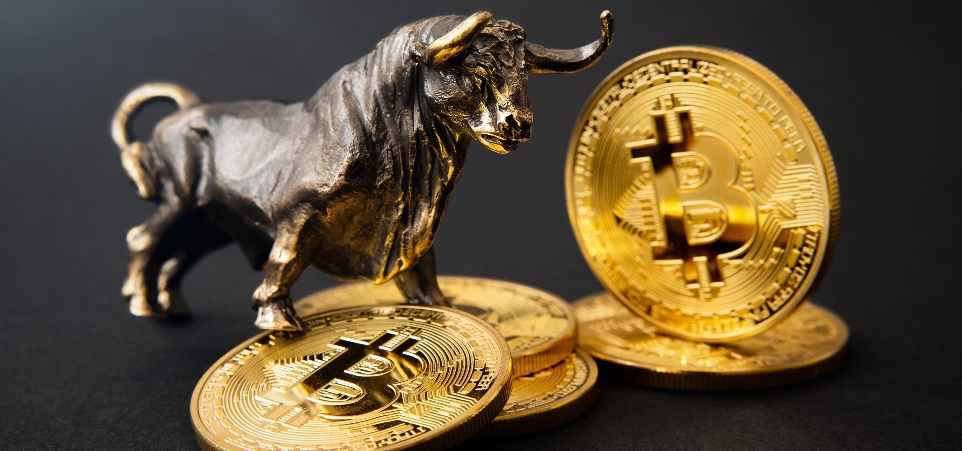 Spółki państwowe w kryzysie, a bitcoin przyszłością? Bilans roku i perspektywy