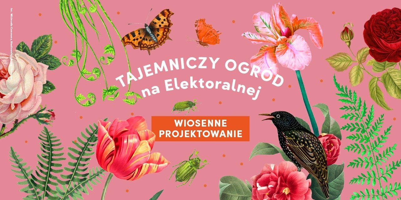 TAJEMNICZY OGRÓD Wiosenne projektowanie!