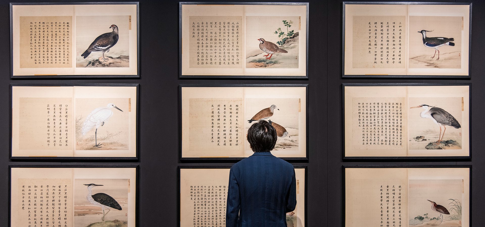 18th Century Imperial Chinese Bird Paintings, Hidden in UK Homes for a Century, Fly to £780,480 at Auction