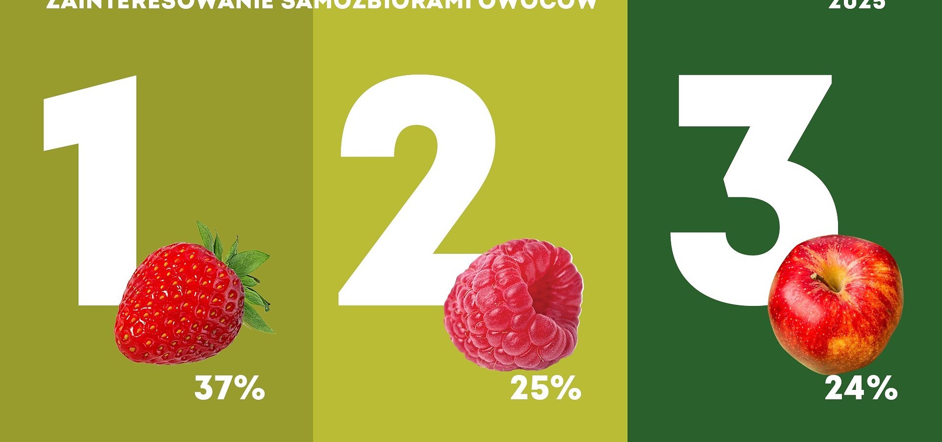 Aż 78% Polaków jest zainteresowana samozbiorami