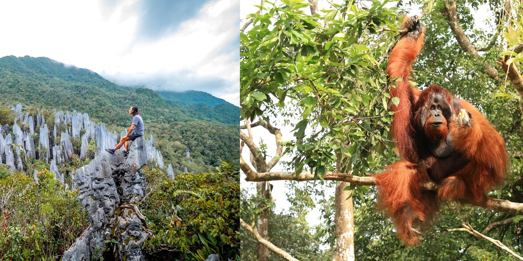APAC Now appointed as UK PR Agency for Sarawak Tourism Board - to Drive Sustainable and Cultural Travel Promotion