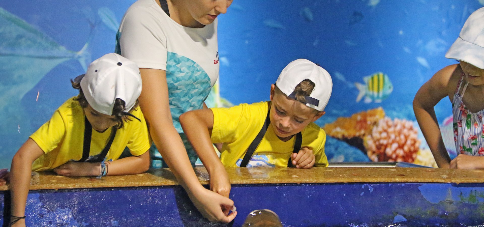 Campos de Férias do Zoomarine arrancam hoje com ciência, natureza e muitas gargalhadas