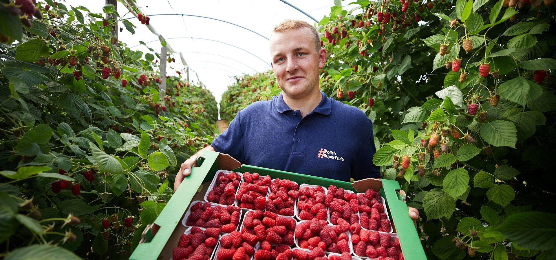 Gatunki, którymi mamy ochotę częstować i rekordowe wskaźniki konsumpcji