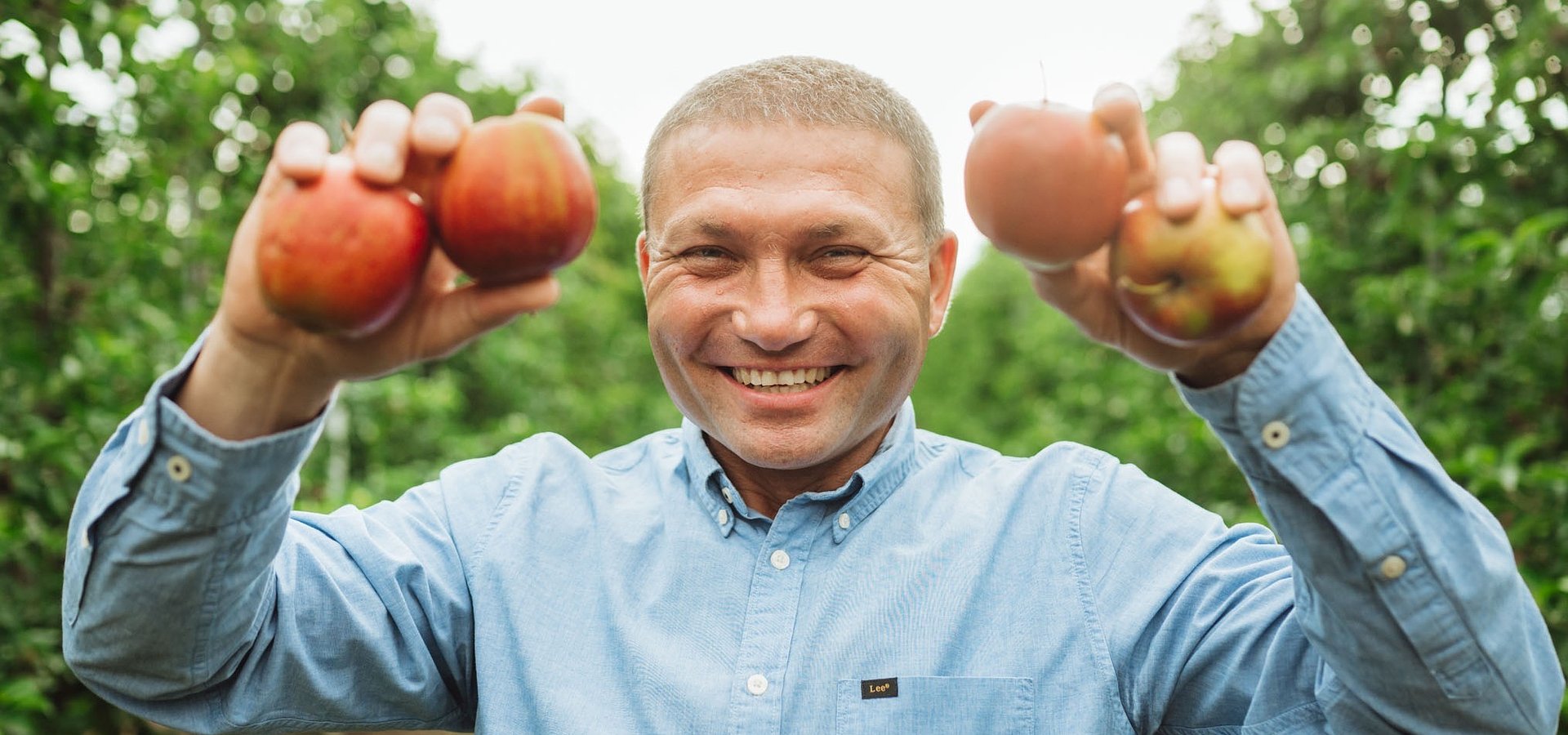 Przyszłość jabłka na 4 litery