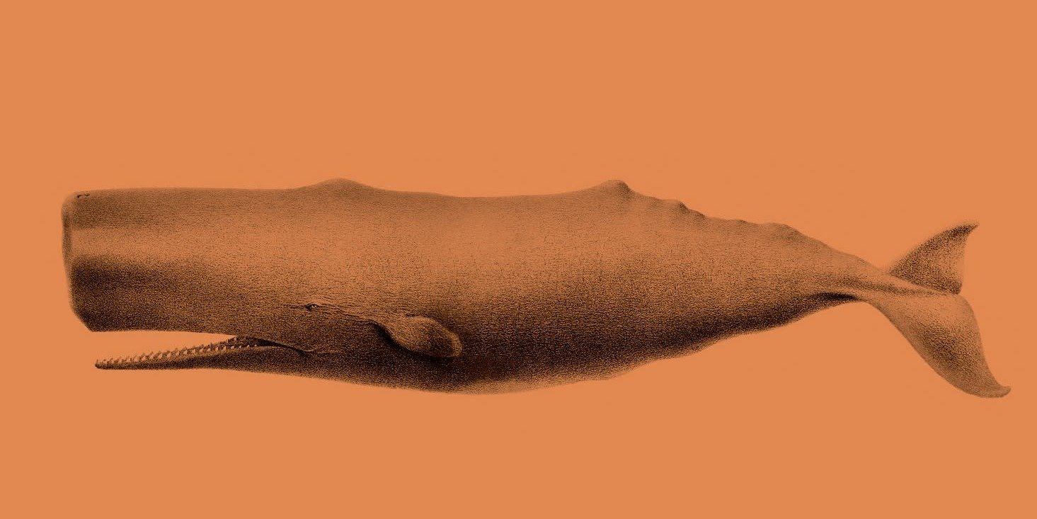 Warren Teagarden Releases "Haiku Islands Volume Two," an Indie Rock Collection