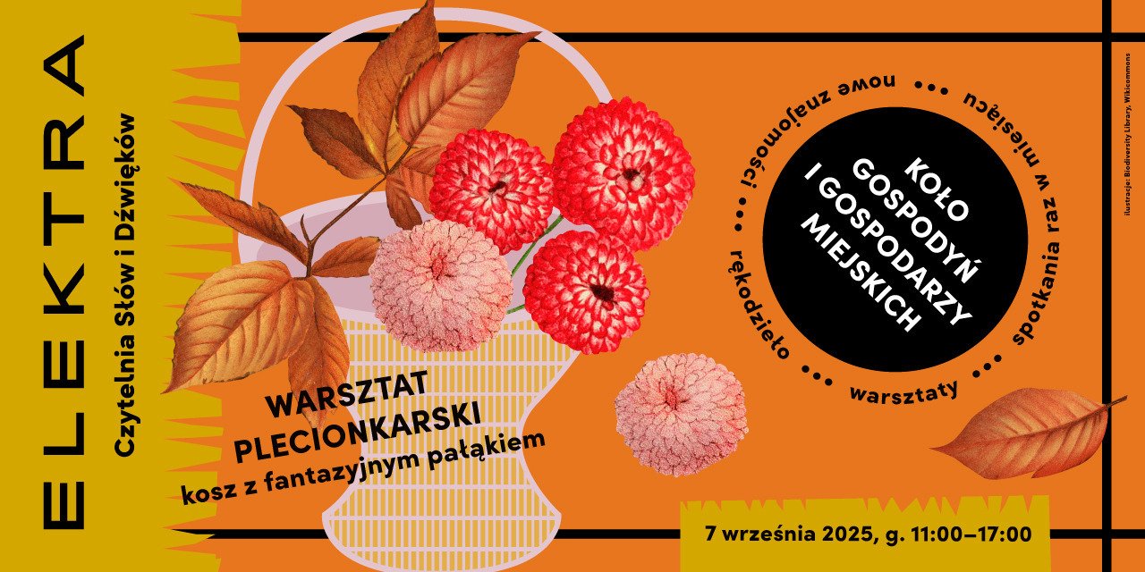Warsztaty plecionkarskie – kosz z fantazyjnym pałąkiem | KOŁO GOSPODYŃ I GOSPODARZY MIEJSKICH w Czytelni ELEKTRA