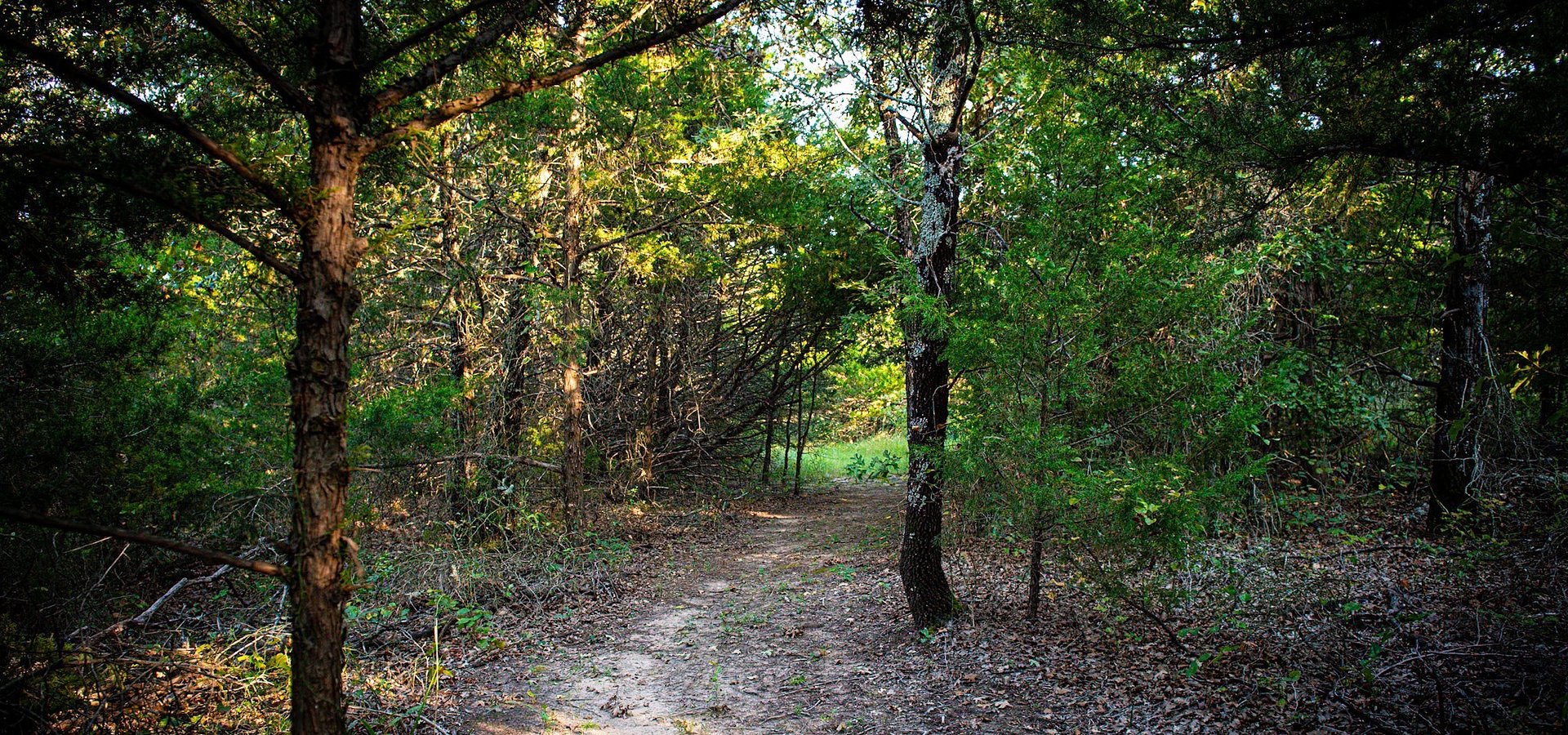 ÖÖD Expands to its fourth site in Texas at St Jo in collaboration with All is Well Resort.