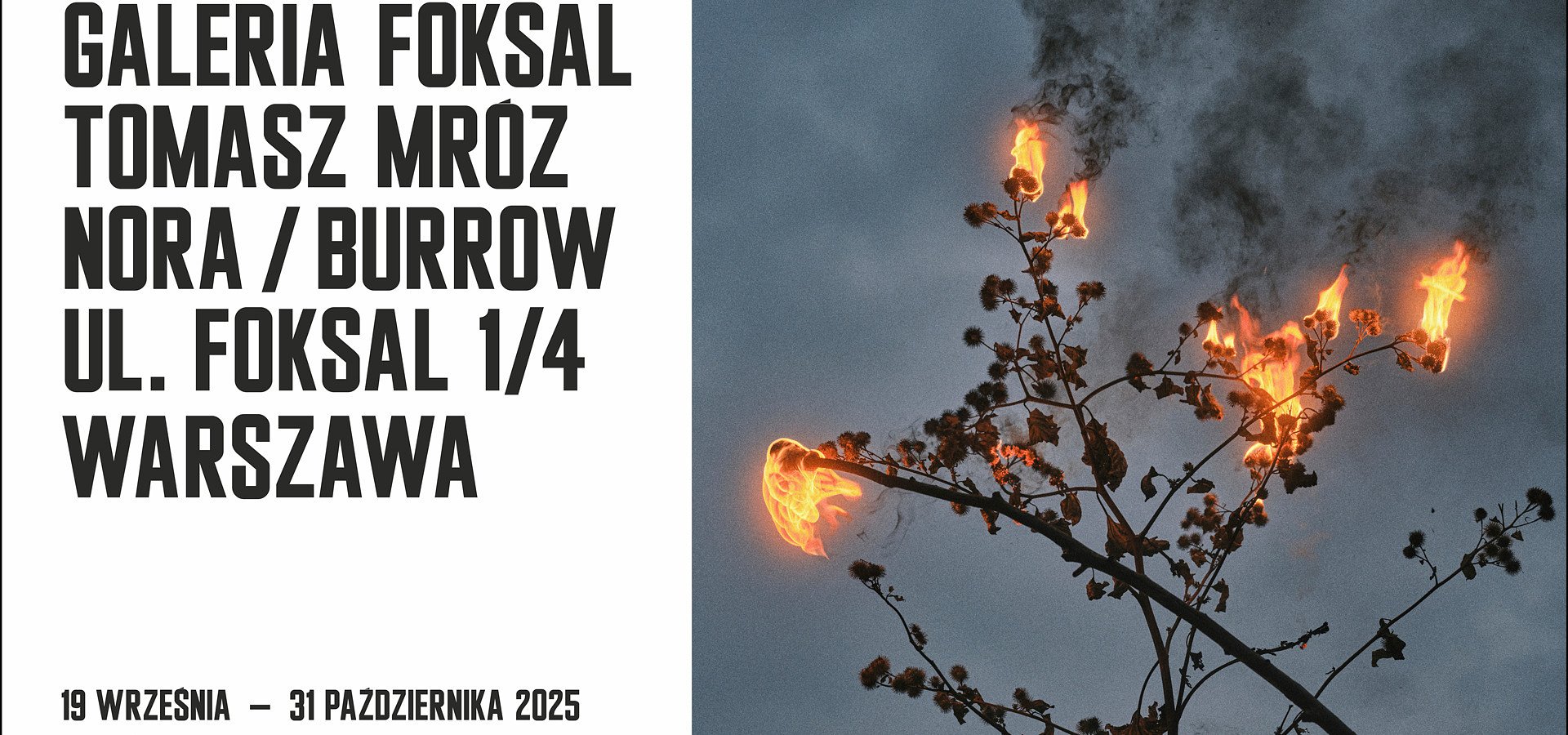 Wystawa „Nora / Burrow” Tomasza Mroza już od 19 września w Galerii Foksal!