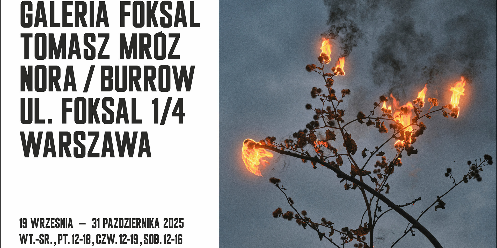 Wystawa „Nora / Burrow” Tomasza Mroza już od 19 września w Galerii Foksal!