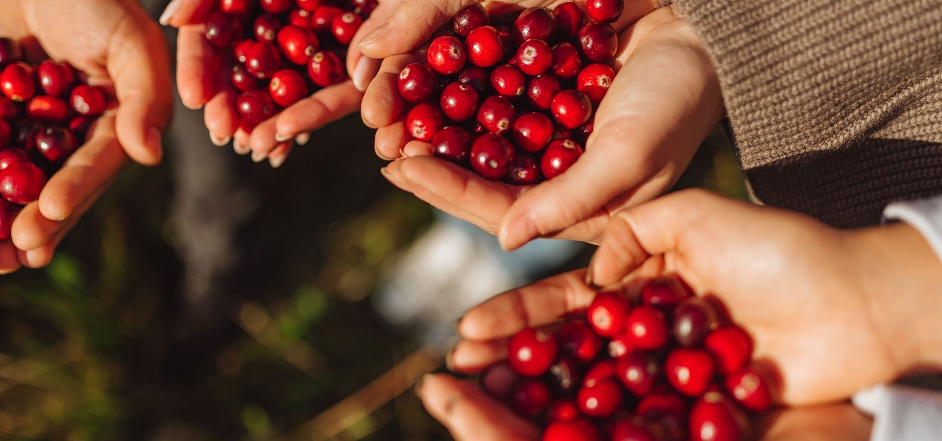 Ostatnie jagodowe śniadanie prasowe sektora ogrodniczego i Kantar Polska