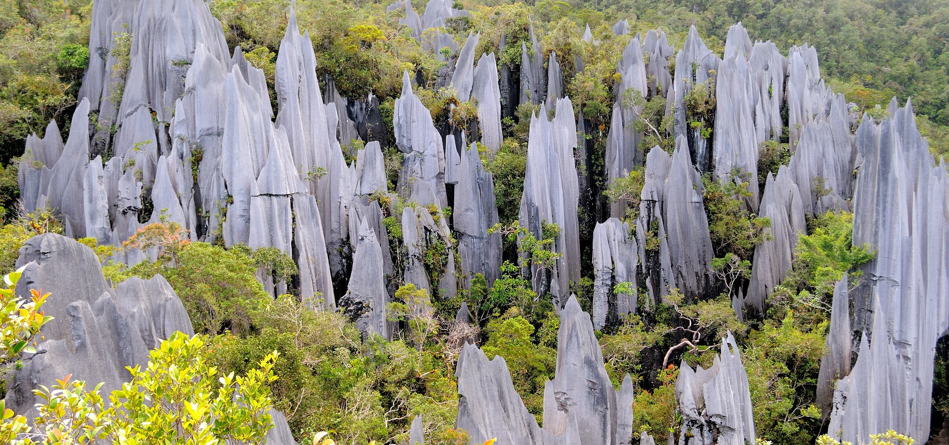 Sarawak Tourism Board Highlights Culture, Nature and Sustainability with Largest-Ever Showcase at WTM London 2025 - Setting the Stage for Visit Malaysia Year 2026 Untitled