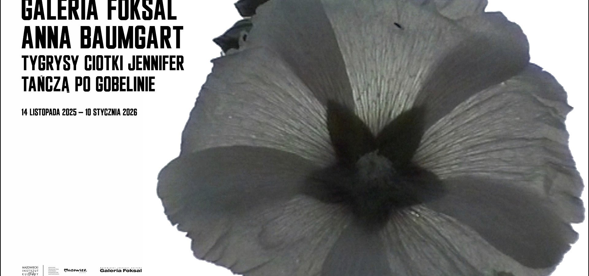 Nowa wystawa w Galerii Foksal już od 14 listopada!