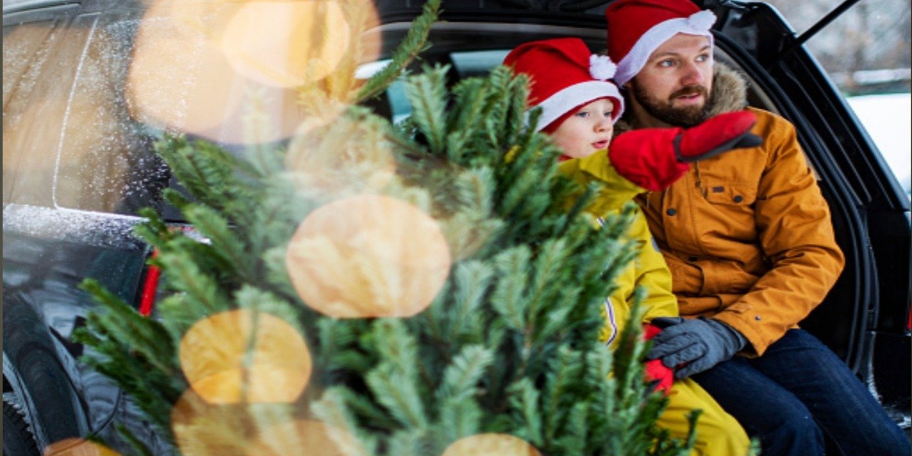 5 rzeczy, które musisz zrobić, jak przewozisz choinkę na święta. Poradnik Steinhof