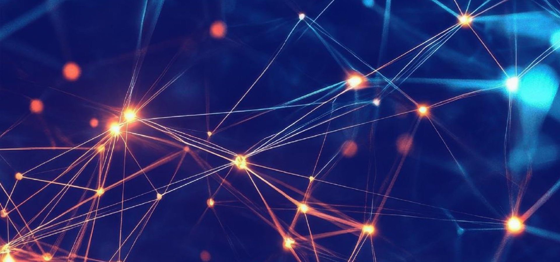 Grupa Pracuj z rekordową liczbą klientów i wzrostem wyników na wymagającym rynku