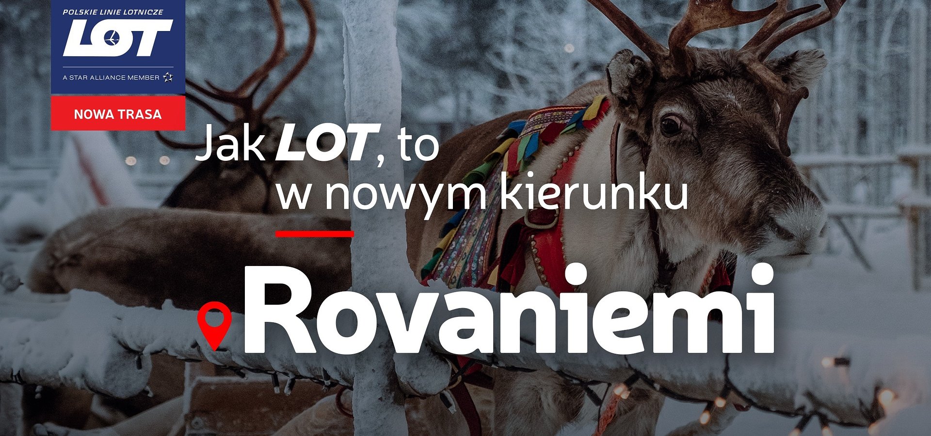 Podróż w świątecznym kierunku. PLL LOT zainaugurowały połączenia do Rovaniemi