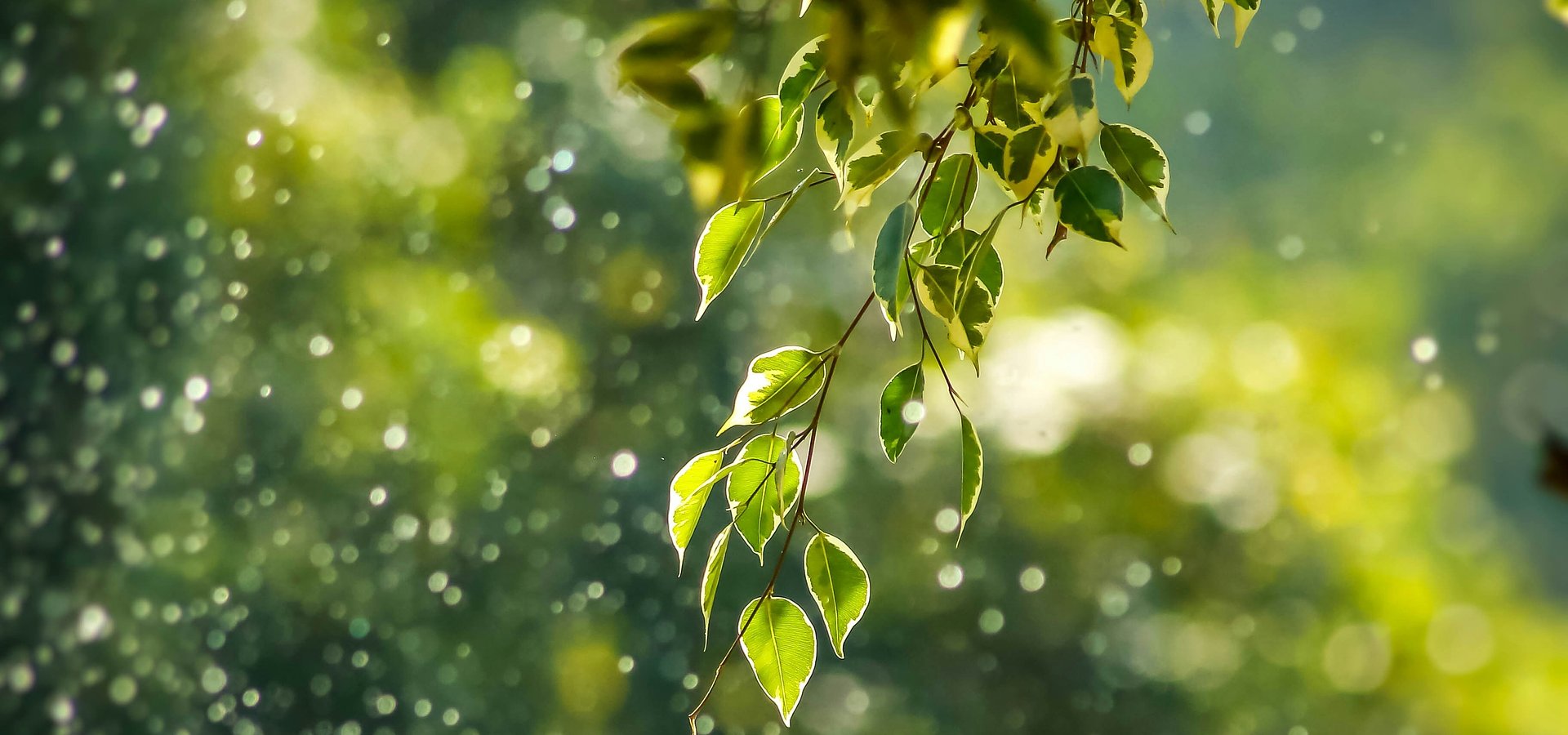 Grupa Pracuj z wyróżnieniem w konkursie „Raporty Zrównoważonego Rozwoju”