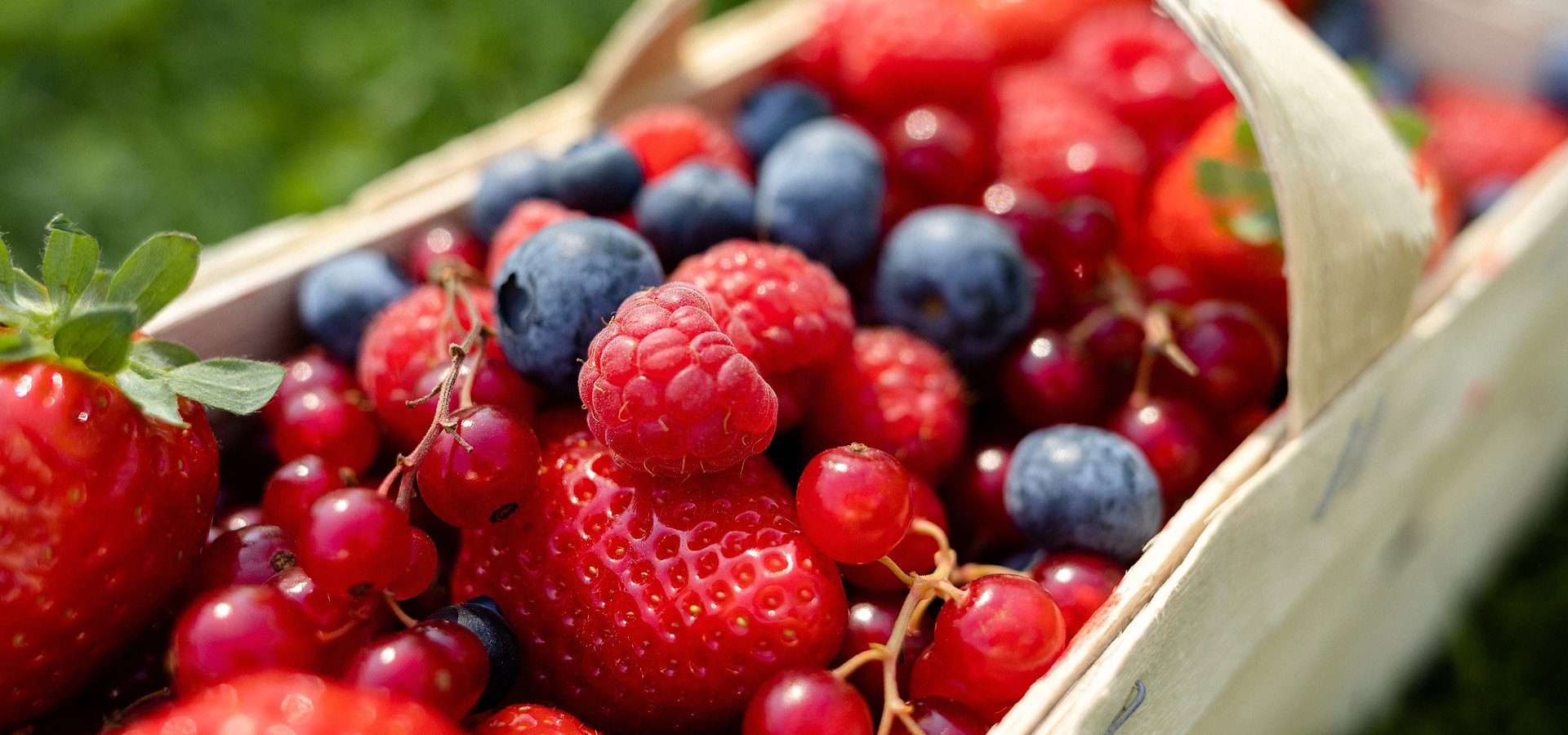 Polacy coraz lepiej rozumieją rolę owoców w kontroli poziomu cukru - najnowsze badanie Kantar Polska