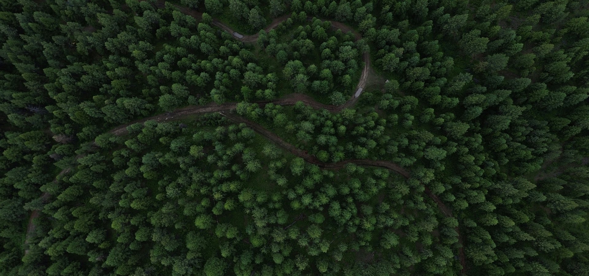 Grupa Pracuj S.A. członkiem United Nations Global Compact