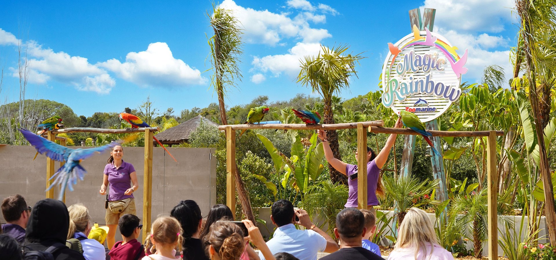 Zoomarine destaca recorde histórico da AIZA que ultrapassou os 15 milhões de visitantes em 2025