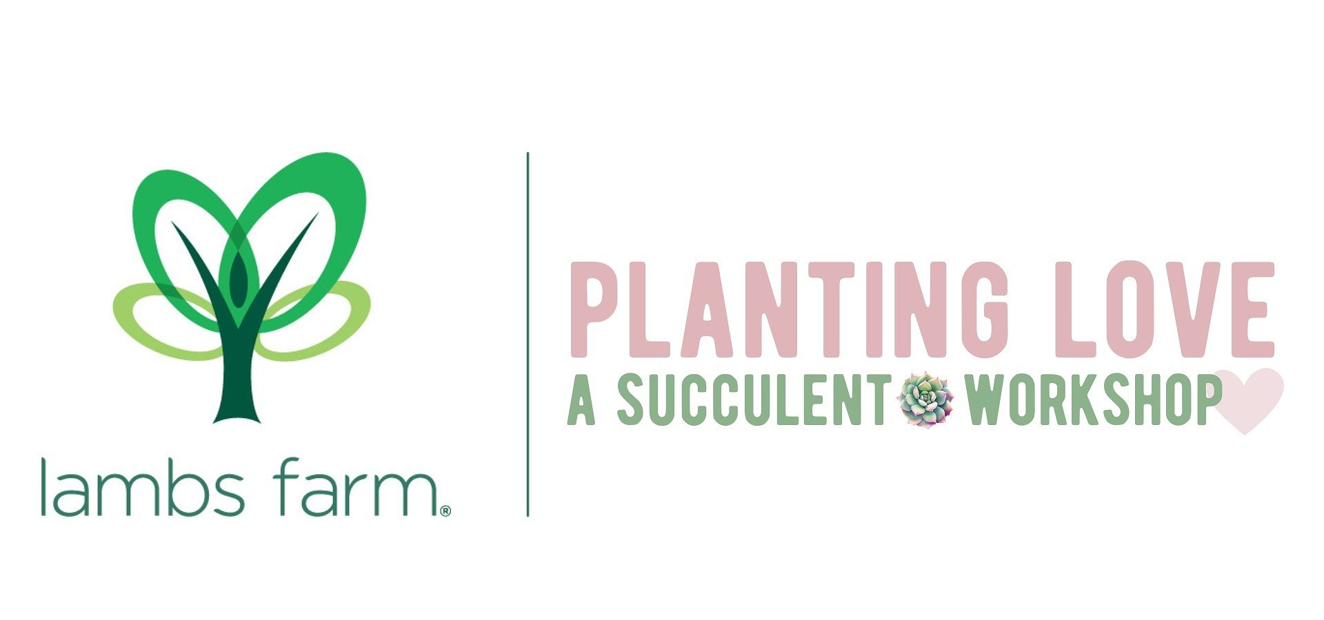 Planting Love: A Succulent Workshop