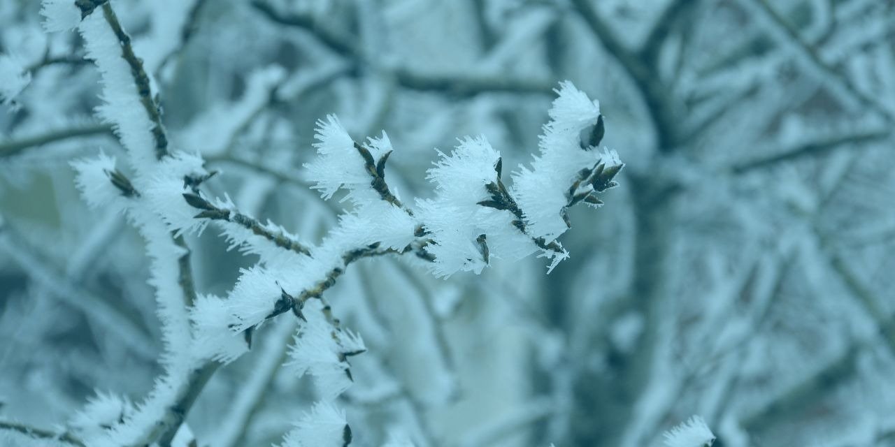 Inclement Weather City Services and Facility Updates