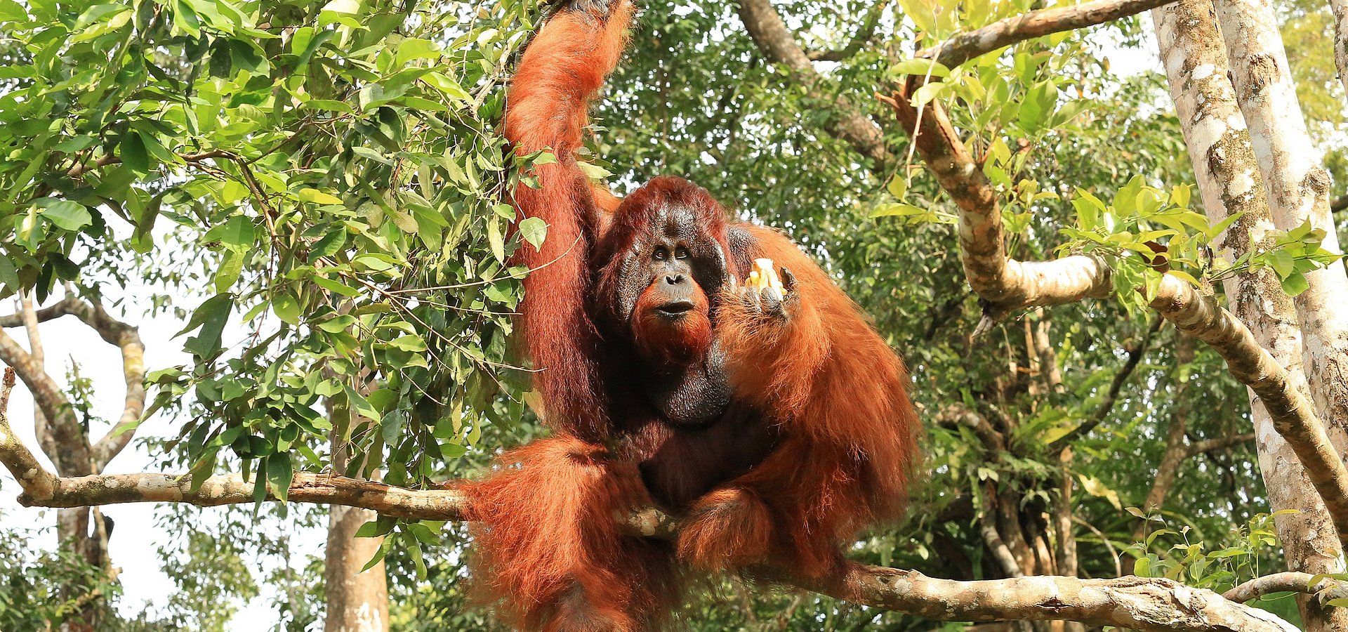 Travel Trends 2026: What UK Travellers Will Be Looking For Next