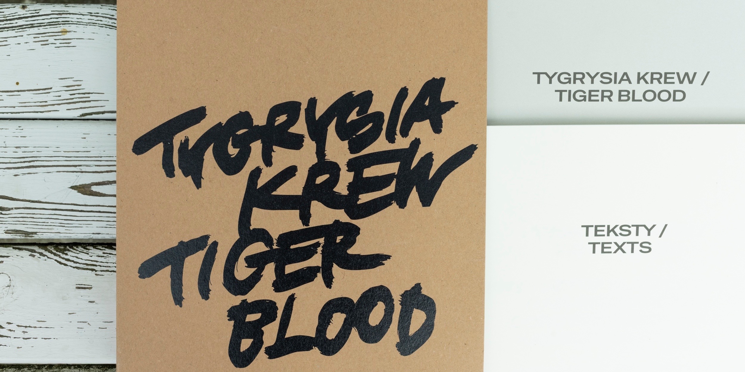 Spotkanie wokół publikacji Galerii Foksal towarzyszącej wystawie „Tygrysia krew”