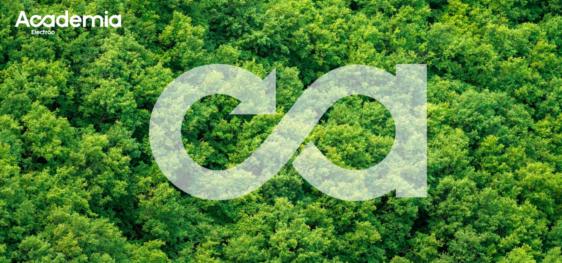 Electrão lança Academia para apoiar projectos inovadores na área do Ambiente
