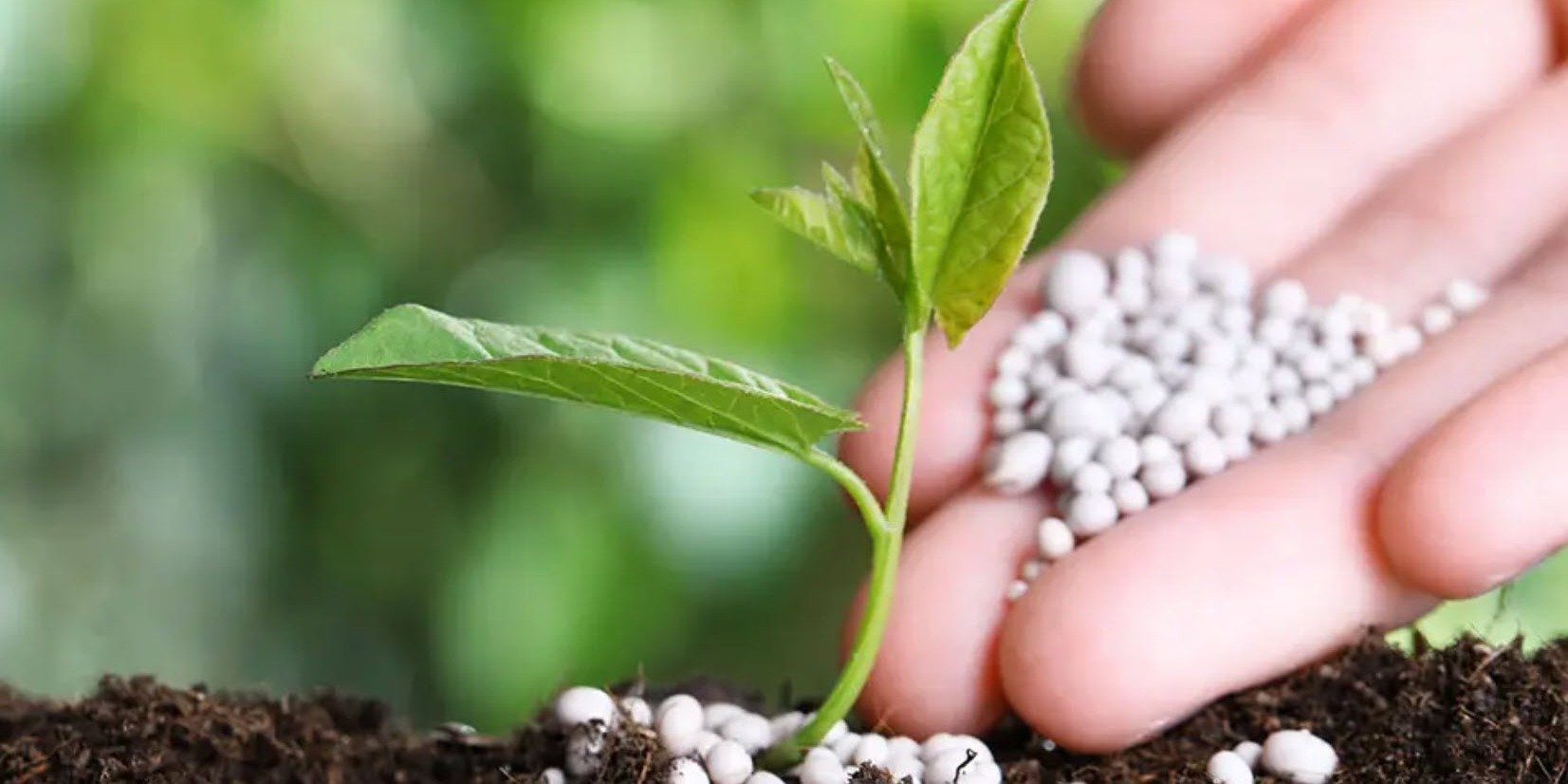 UFA Completes Landmark AgraCity Acquisition