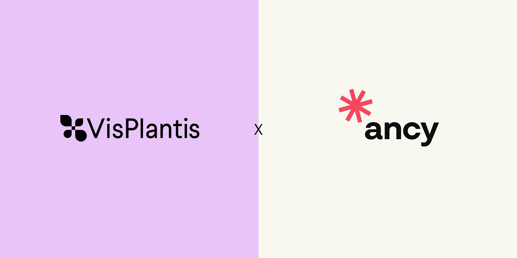 Vis Plantis razem z Ancy